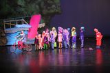 IMG_7977.jpg