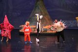 IMG_8039.jpg