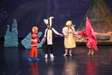 IMG_8045.jpg