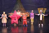IMG_8053.jpg