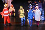 IMG_8071.jpg