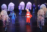 IMG_8079.jpg