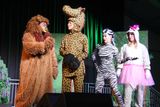 IMG_8516.jpg