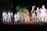 IMG_8519.jpg