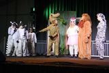 IMG_8520.jpg