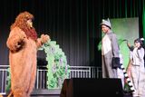 IMG_8523.jpg
