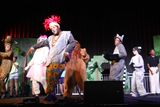 IMG_8543.jpg