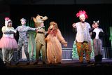 IMG_8554.jpg