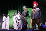 IMG_8556.jpg