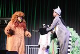 IMG_8557.jpg