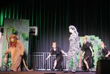 IMG_8637.jpg