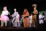 IMG_8655.jpg