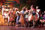 IMG_1381.jpg