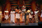 IMG_1781.jpg
