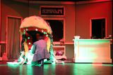 IMG_4519.jpg