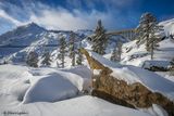 Storms End - Donner Pass