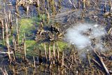 Ice in the Wetland