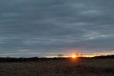 Short Sun