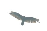 Flying in a Haze