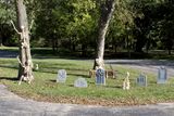 Halloween Cemetery