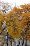 Fall Downtown