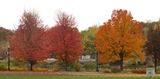Fall in a Row