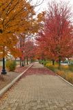 Fall Path