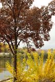 Fall Along the Fox