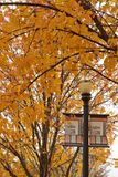 Elgin Autumn