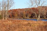 Fall at the Fen
