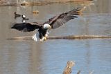 Landing Gears Down