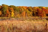 October at the Fen