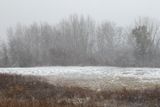 Obscured by Snow 