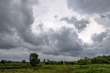 Showers Soon