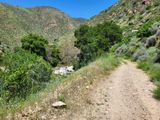 Fish Canyon en route to Cienega CG