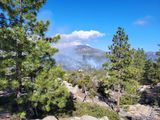 Horse Flats Controlled Burn