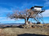 Pilot Peak Lookout Tower