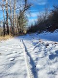 Snow Near the Summit