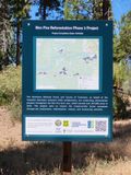 Tuolumne Rim Fire Reforestation