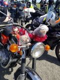 221126 Ulysses Nelson Toy Run 25.jpg