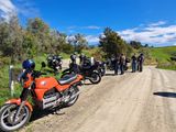 241020 Banjo Country 08.jpg