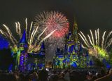 Disney Magic Kingdom Fireworks
