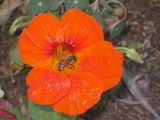 IMG_1049_proc.jpg