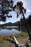 DSC00561_151.jpg
