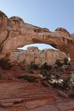 DSC00764_203.jpg