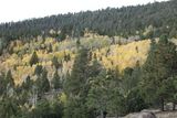 DSC00773_208.jpg