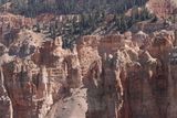 DSC00838_220.jpg