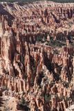DSC00850_225.jpg