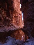 DSCF0484_293.jpg