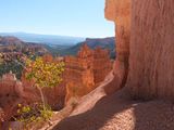 DSCF0489_297.jpg